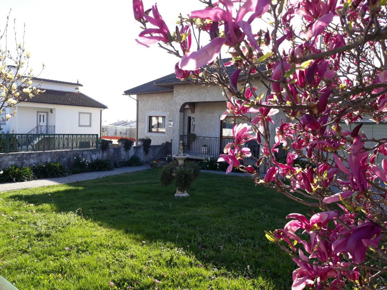 Cynda'S Home Viseu Eksteriør bilde