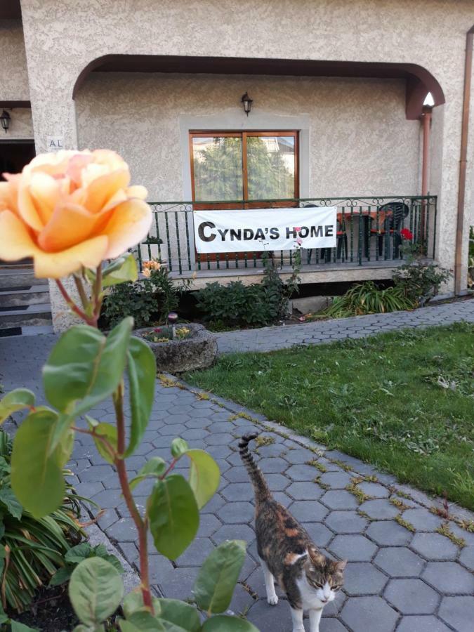 Cynda'S Home Viseu Eksteriør bilde